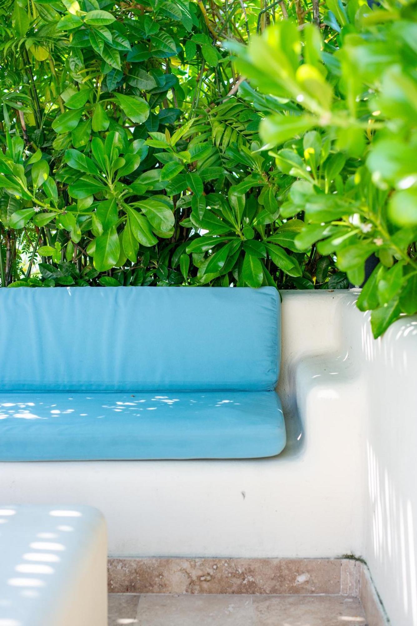 Luxurious Penthouse With Jungle View & Private Pool Lejlighed Tulum Eksteriør billede